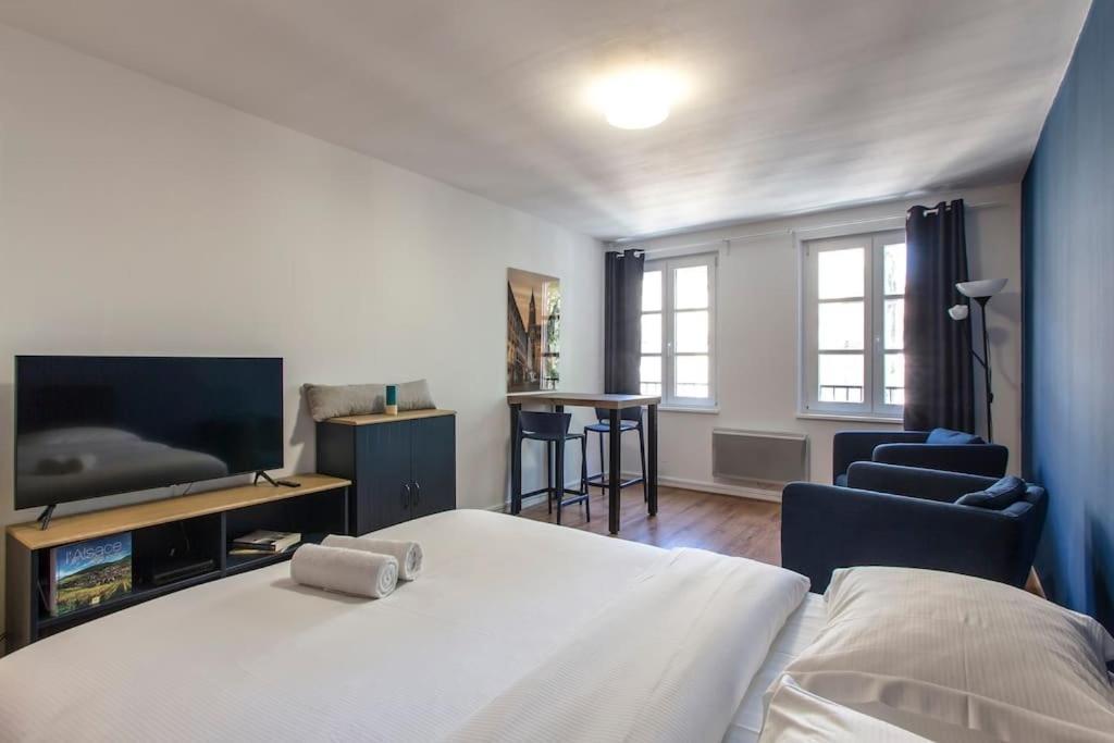 Le 52 Zix - Joli Studio Au Coeur De La Petite France Strasbourg Bagian luar foto